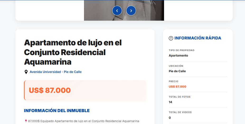 Ejemplo de publicación profesional